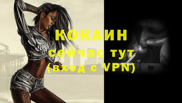индика Гусь-Хрустальный