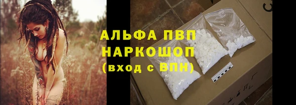 apvp Гусев