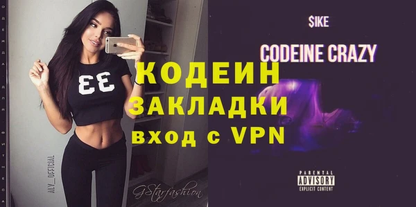 индика Гусь-Хрустальный