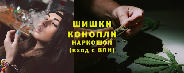 индика Гусь-Хрустальный