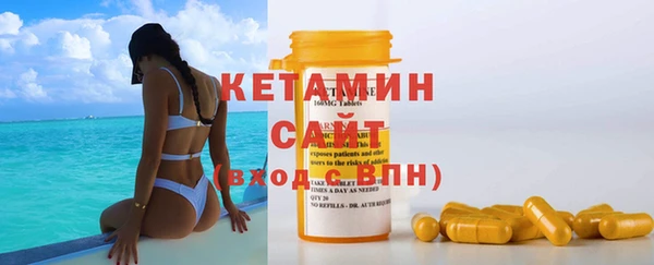 индика Гусь-Хрустальный