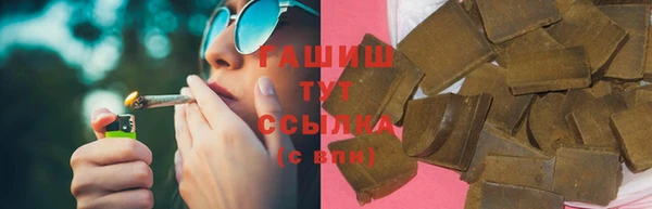 индика Гусь-Хрустальный