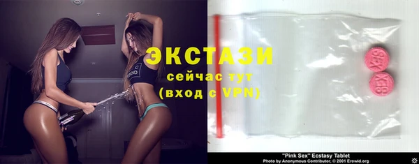 apvp Гусев