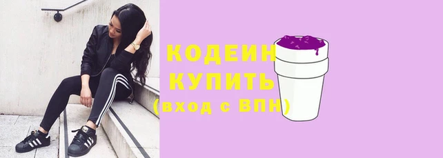 индика Гусь-Хрустальный
