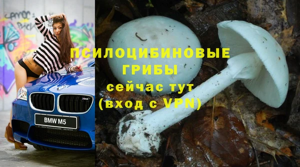 индика Гусь-Хрустальный