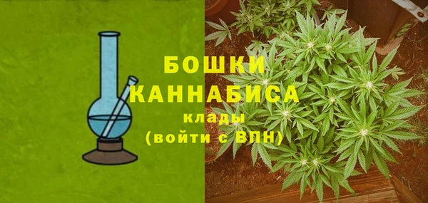 дмт Нягань