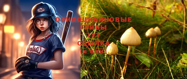 MDMA Premium VHQ Гусиноозёрск